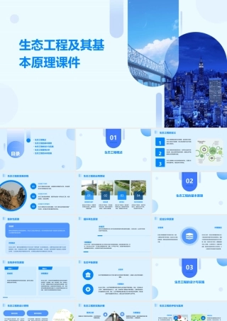 生态工程及其基本原理课件