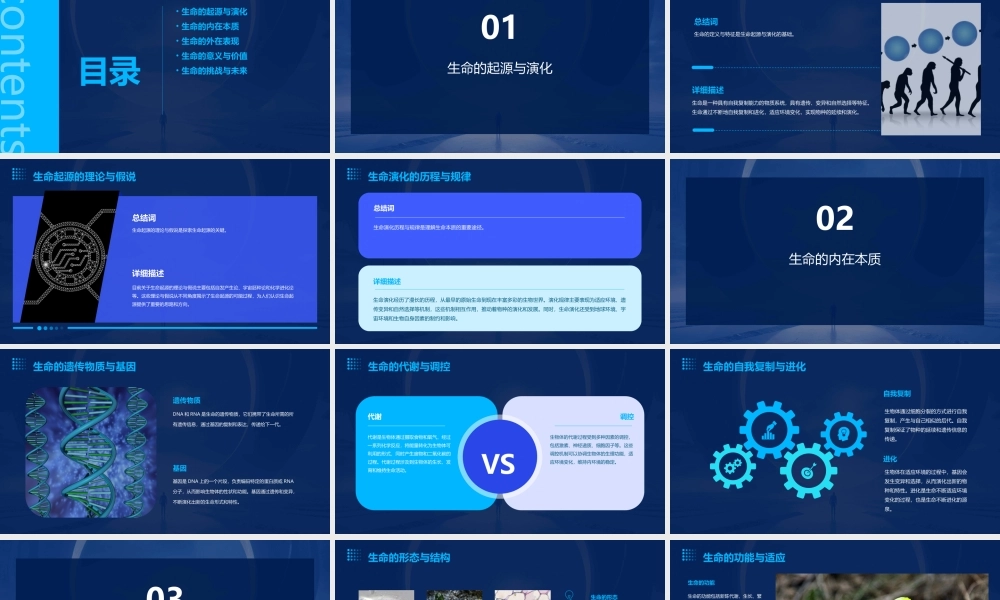 生命的真谛剖析课件