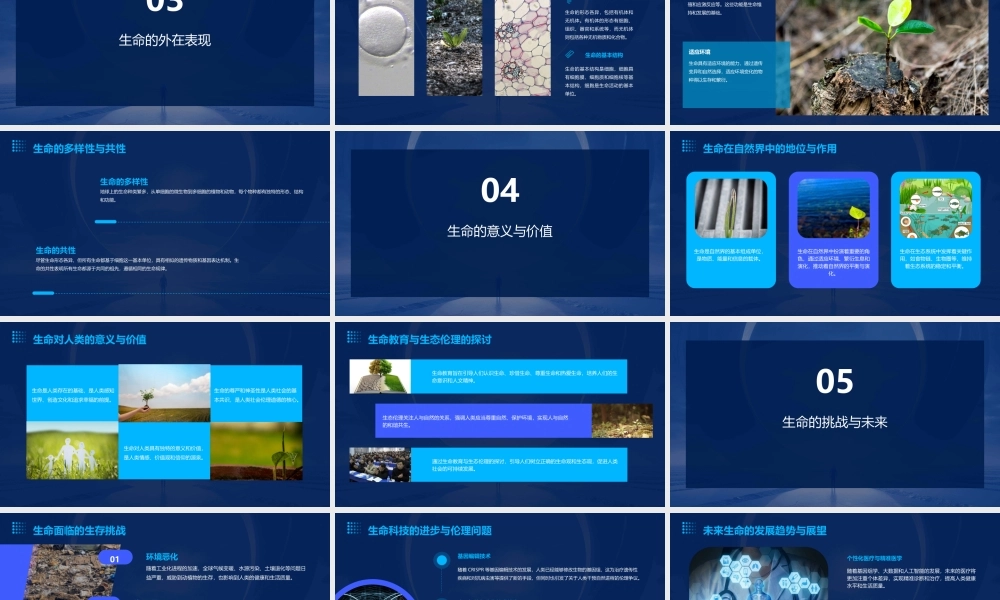 生命的真谛剖析课件