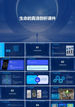 生命的真谛剖析课件