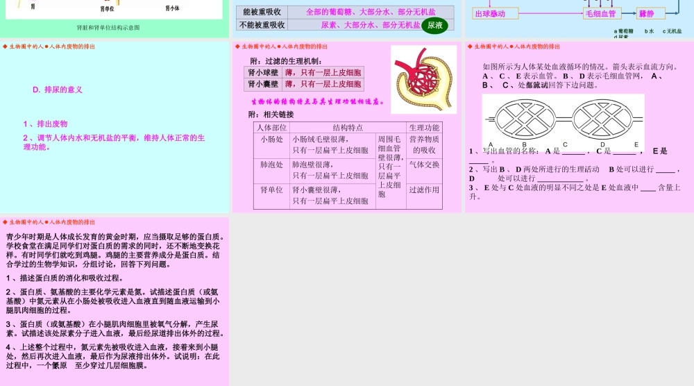 人体内废物的排出（丁家志）