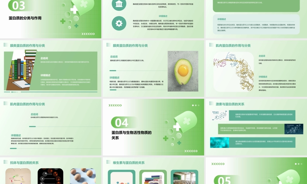 生命活动的主要承担者——蛋白质(优质课)课件