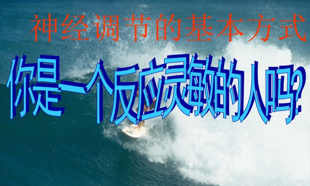 八年级科学上册 33神经调节课件 浙教版 课件