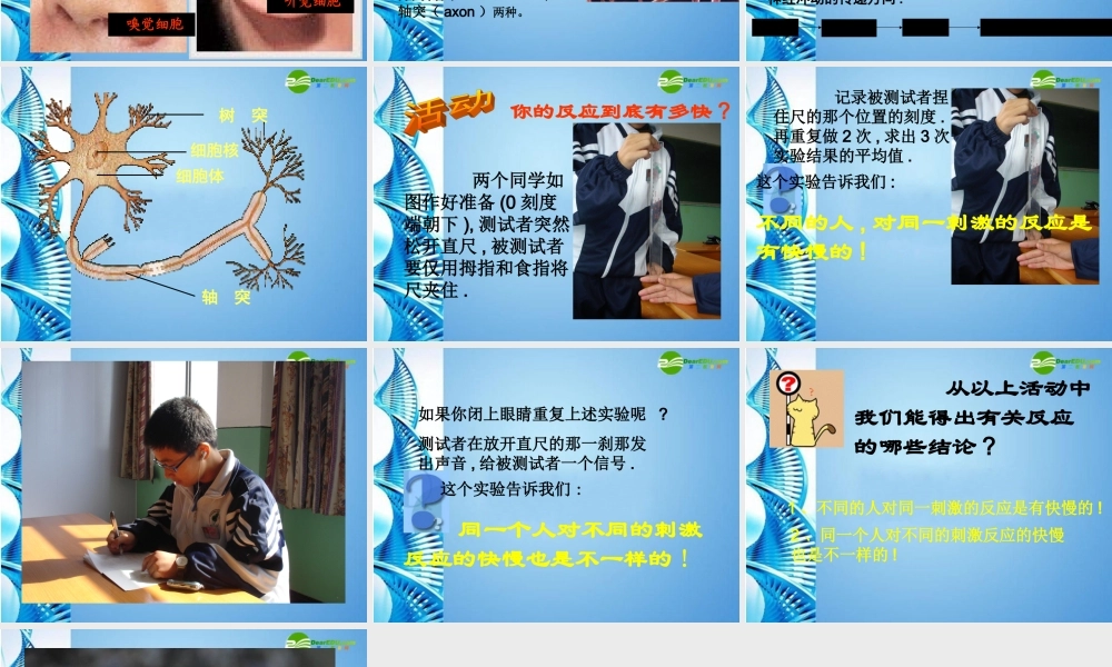 八年级科学上册 33神经调节课件 浙教版 课件