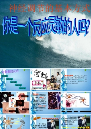八年级科学上册 33神经调节课件 浙教版 课件