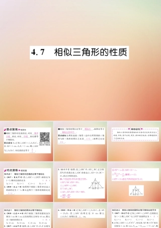 九年级数学上册 第4章 图形的相似 47 相似三角形的性质作业课件 (新版)北师大版 课件