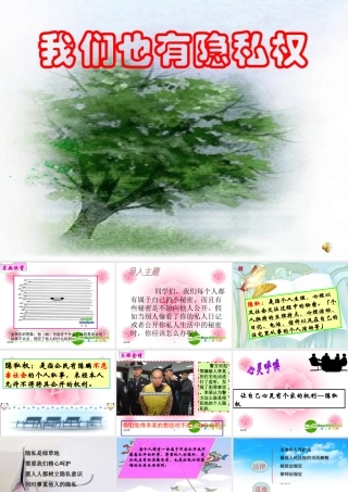 八年级思想品德下册 第二单元 第三节(我们也有隐私权)课件 湘师版 课件