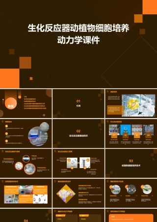 生化反应器动植物细胞培养动力学课件