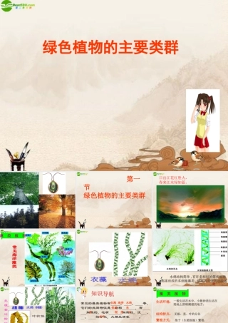 七年级生物上册 绿色植物的主要类群课件 济南版 课件