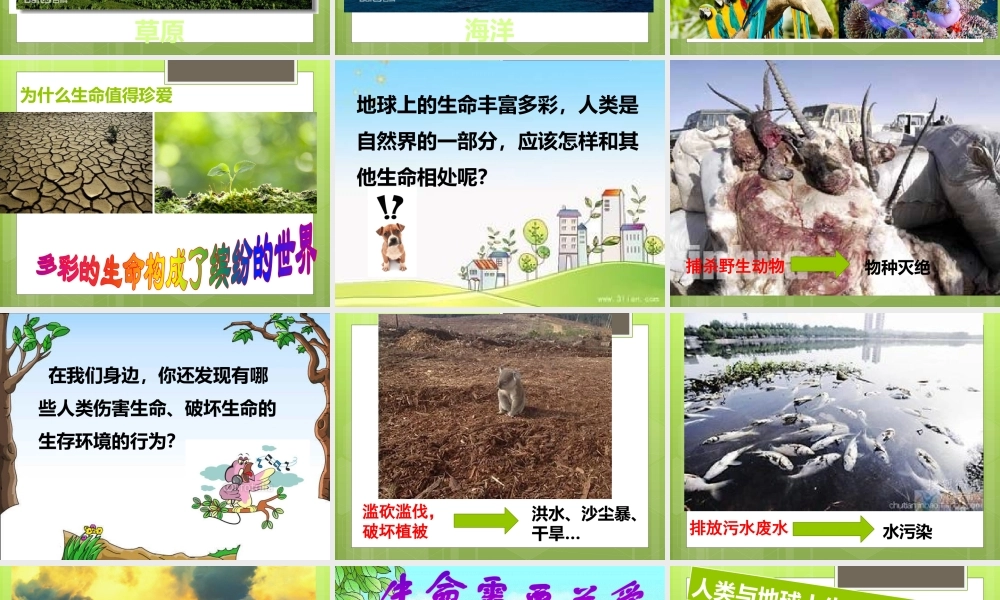 （一）世界因生命而精彩（1课时）