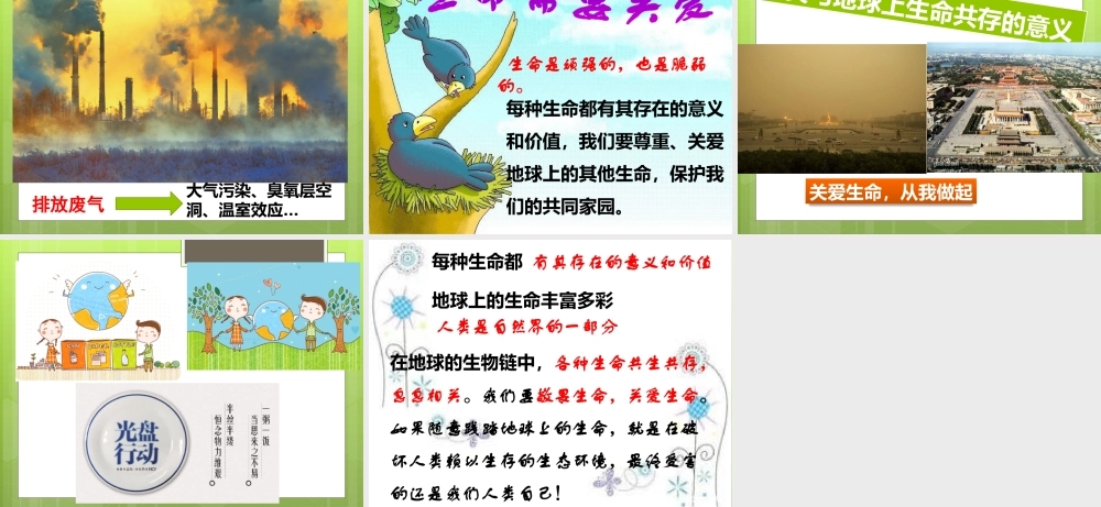 （一）世界因生命而精彩（1课时）