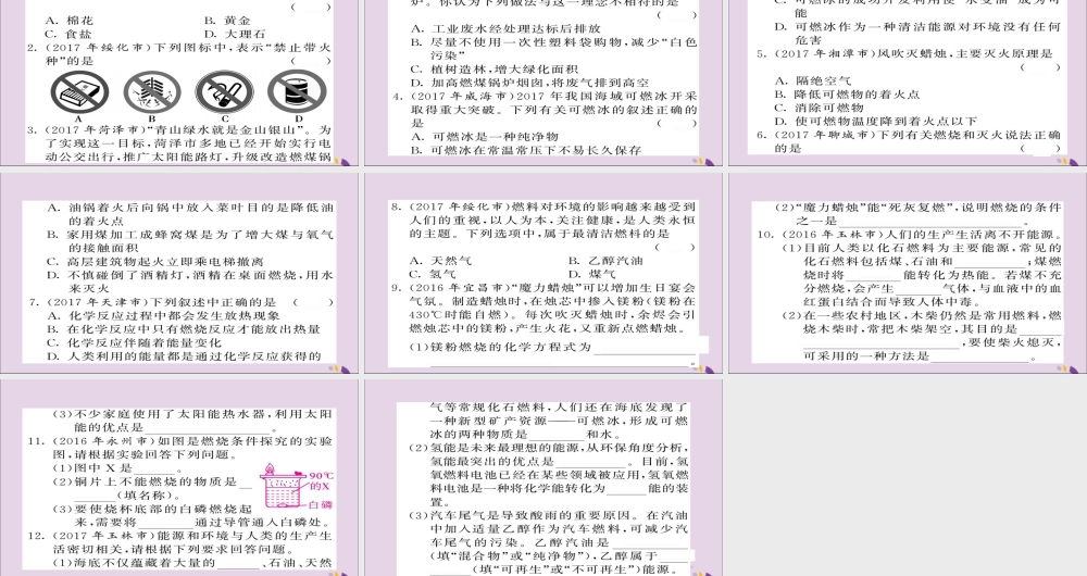 中考化学总复习 第一轮复习 系统梳理 夯基固本 第13讲 燃料及其应用练习课件