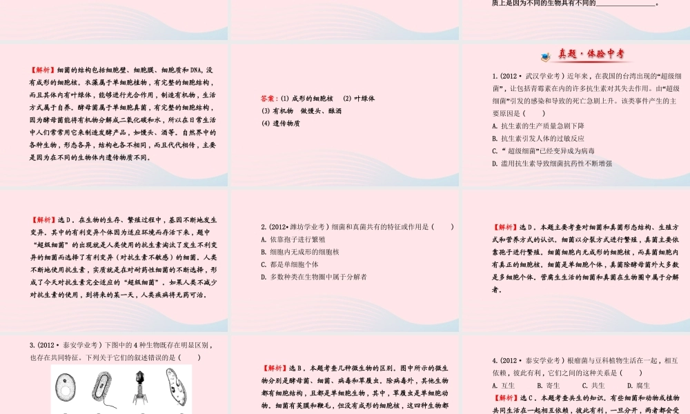 八年级生物上册 阶段专题复习 第五单元 第四、五章课件 (新版)新人教版 课件