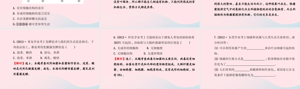 八年级生物上册 阶段专题复习 第五单元 第四、五章课件 (新版)新人教版 课件