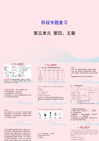 八年级生物上册 阶段专题复习 第五单元 第四、五章课件 (新版)新人教版 课件