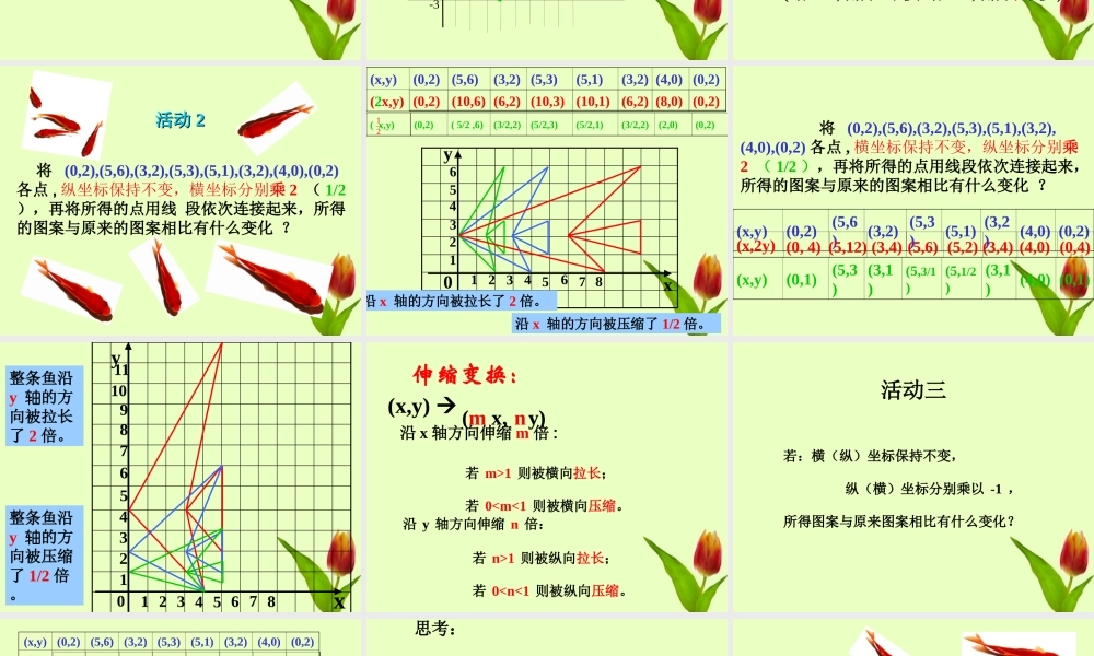 八年级数学上册 第五章第三节变化的鱼课件 北师大版 课件