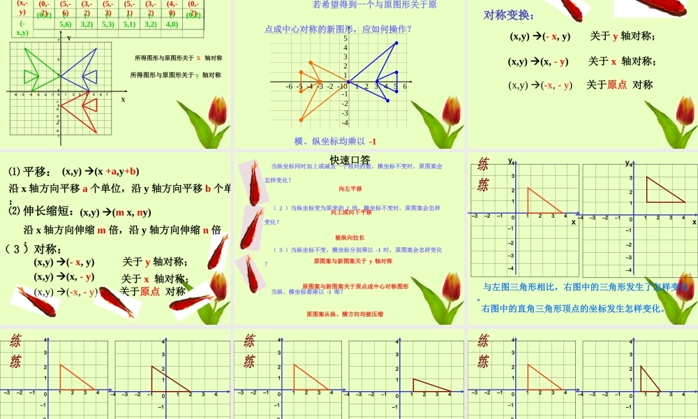 八年级数学上册 第五章第三节变化的鱼课件 北师大版 课件