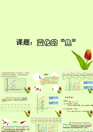八年级数学上册 第五章第三节变化的鱼课件 北师大版 课件