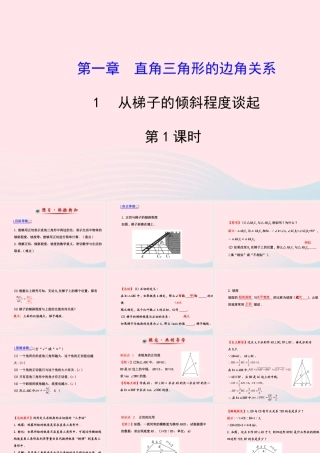 九年级数学下册 第一章直角三角形的边角关系 1 从梯子的倾斜程度谈起第1课时习题课件 北师大版 课件