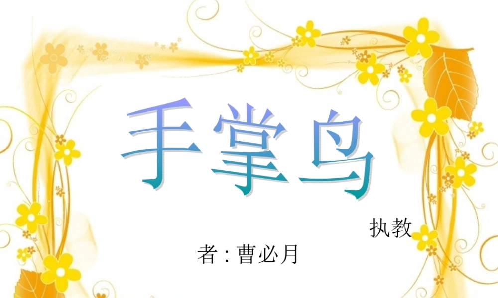 美术：手掌鸟(曹必月）