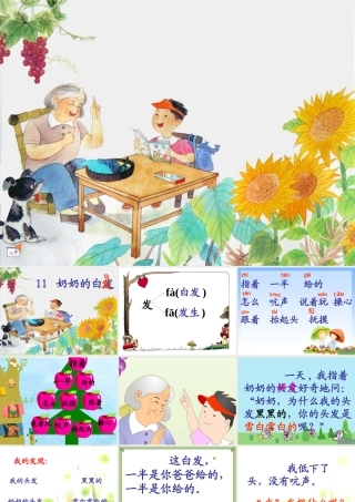 一年级语文2奶奶的白(新的)