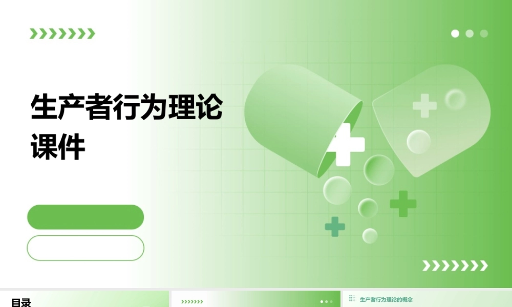 生产者行为理论课件