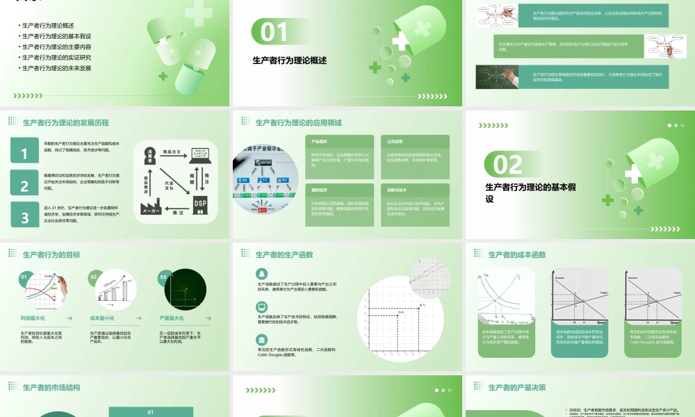 生产者行为理论课件