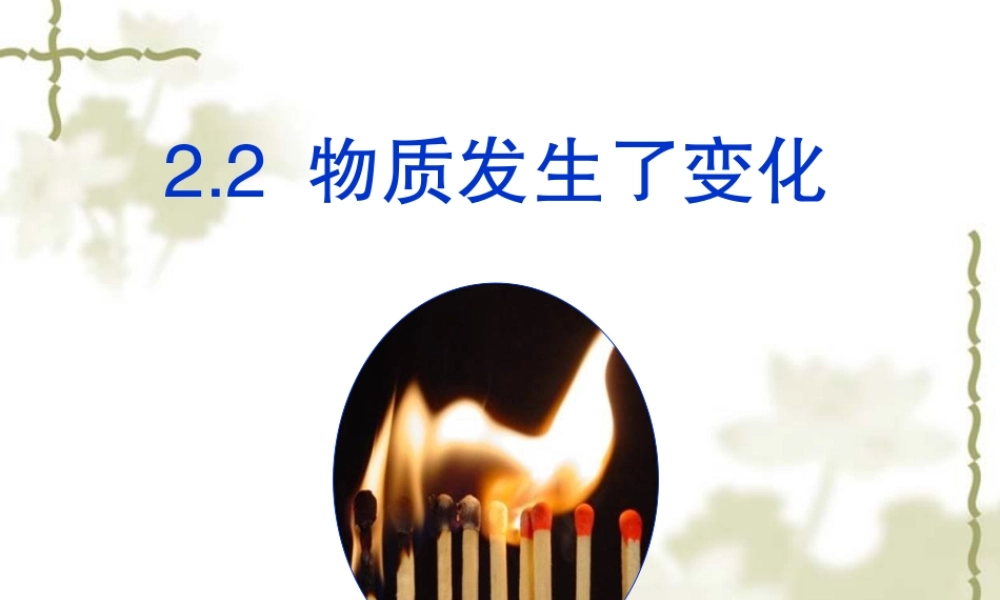 物质发生了什么变化课件