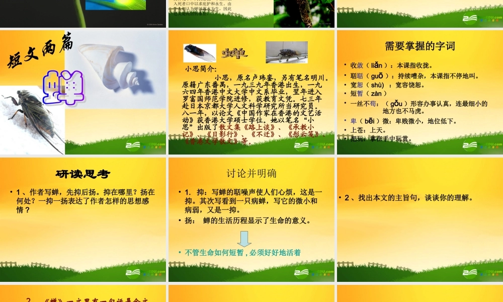 七年级语文上册 第3课(短文两篇)(蝉)课件 新人教版 课件