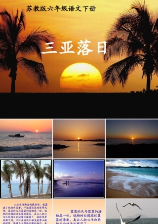 三亚落日课件3