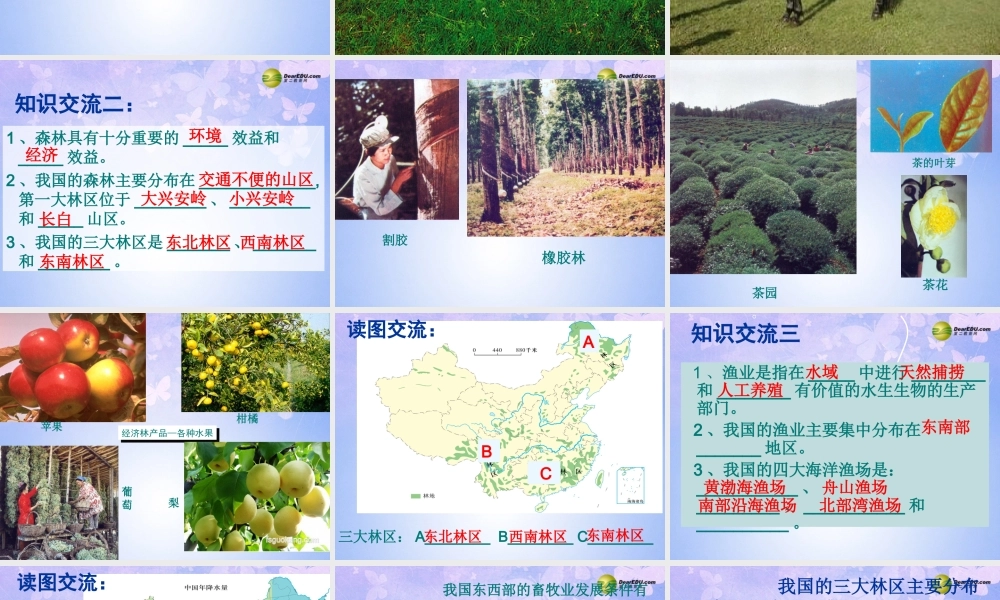 八年级地理上册 4.1 农业的分布课件 商务星球版 课件