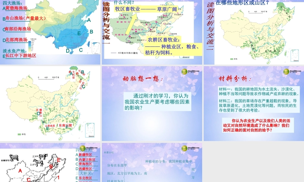 八年级地理上册 4.1 农业的分布课件 商务星球版 课件