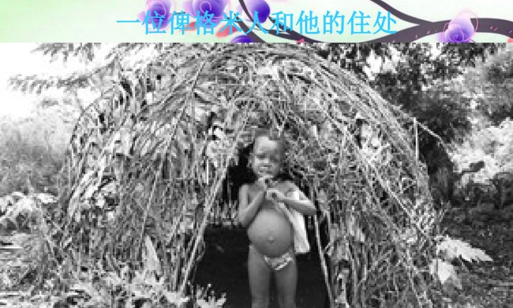 九年级思想品德 第一节(共同的问题 共同的选择)课件 湘师版 课件