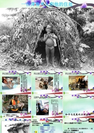 九年级思想品德 第一节(共同的问题 共同的选择)课件 湘师版 课件