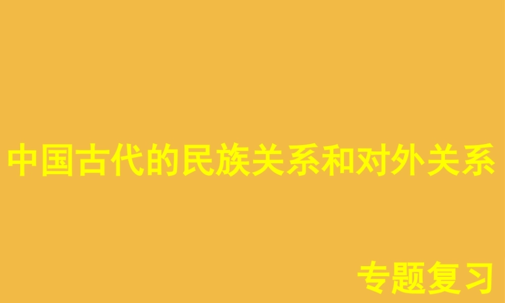 中考历史 中国古代的民族关系和对外关系专题复习课件