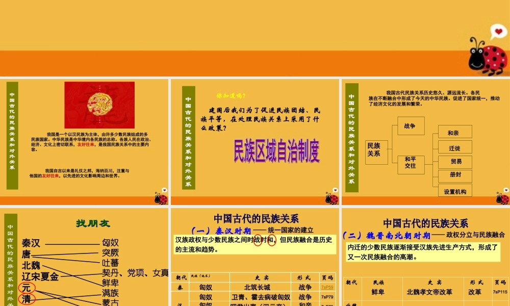 中考历史 中国古代的民族关系和对外关系专题复习课件