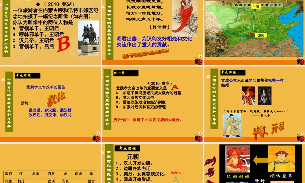 中考历史 中国古代的民族关系和对外关系专题复习课件