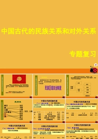 中考历史 中国古代的民族关系和对外关系专题复习课件