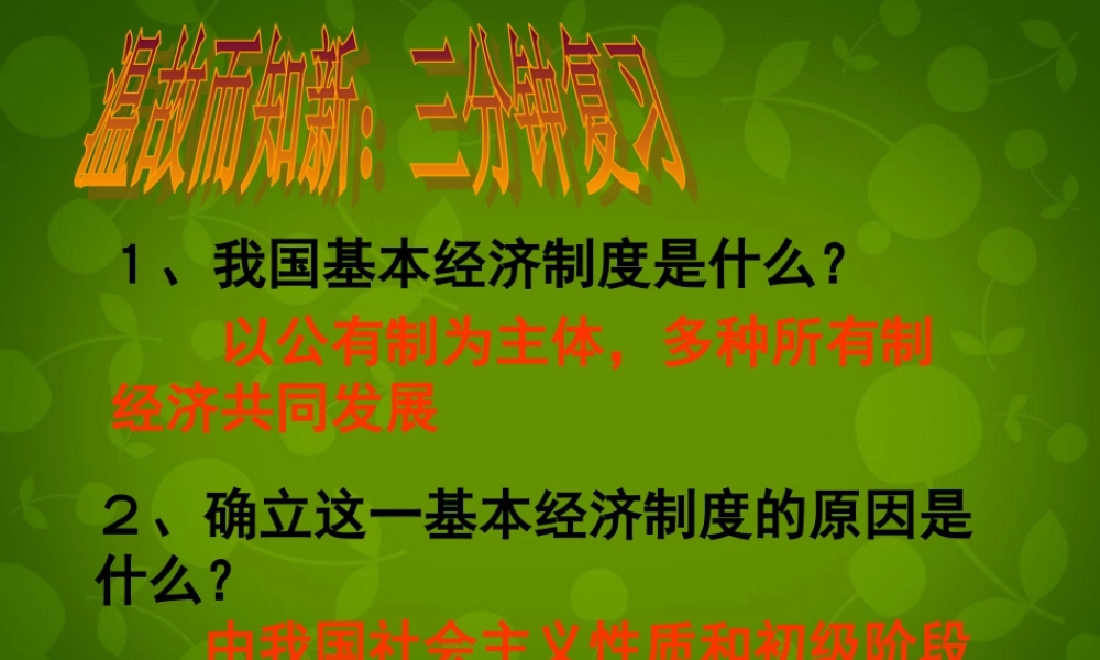 九年级政治全册 72 走向共同富裕的道路课件 新人教版 课件