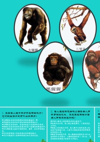 七年级生物下册 第四单元 第一章 第一节 人类的起源和发展 观察与思考课件 (新版)新人教版 课件
