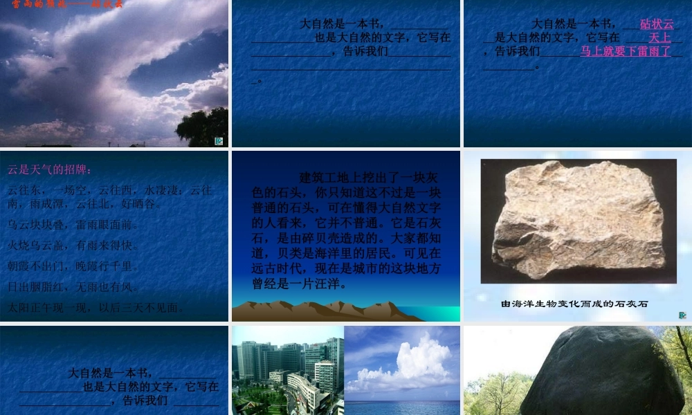 《大自然的文字》教学课件