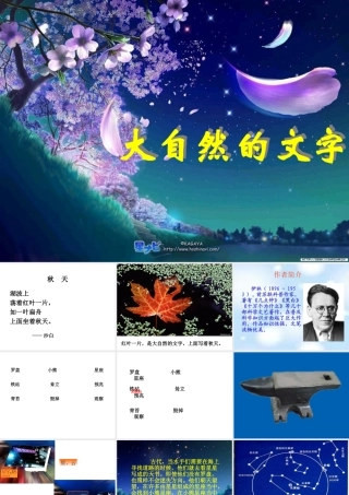 《大自然的文字》教学课件