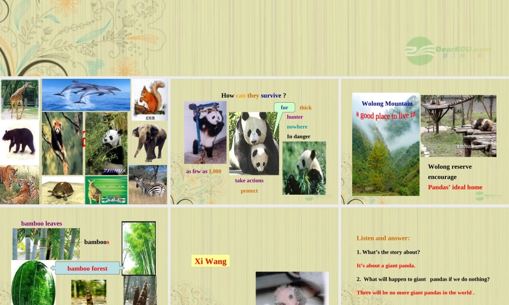 八年级英语上册(Unit 4 Wild animals)Reading课件 牛津译林版 课件