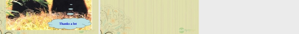 八年级英语上册(Unit 4 Wild animals)Reading课件 牛津译林版 课件