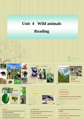 八年级英语上册(Unit 4 Wild animals)Reading课件 牛津译林版 课件