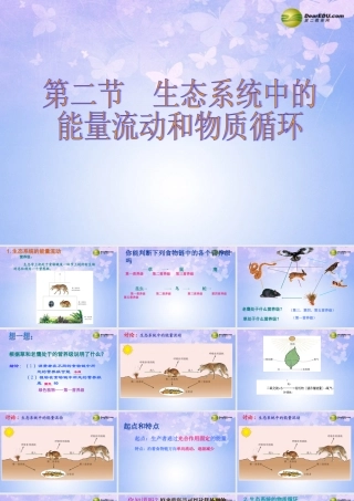 八年级生物上册 19.2 生态系统中的能量流动和物质循环课件 (新版)苏教版 课件