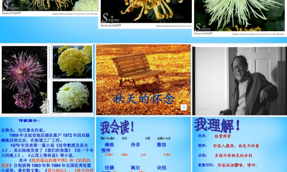 中学七年级语文上册(第2课 秋天的怀念)课件2 (新版)新人教版 课件