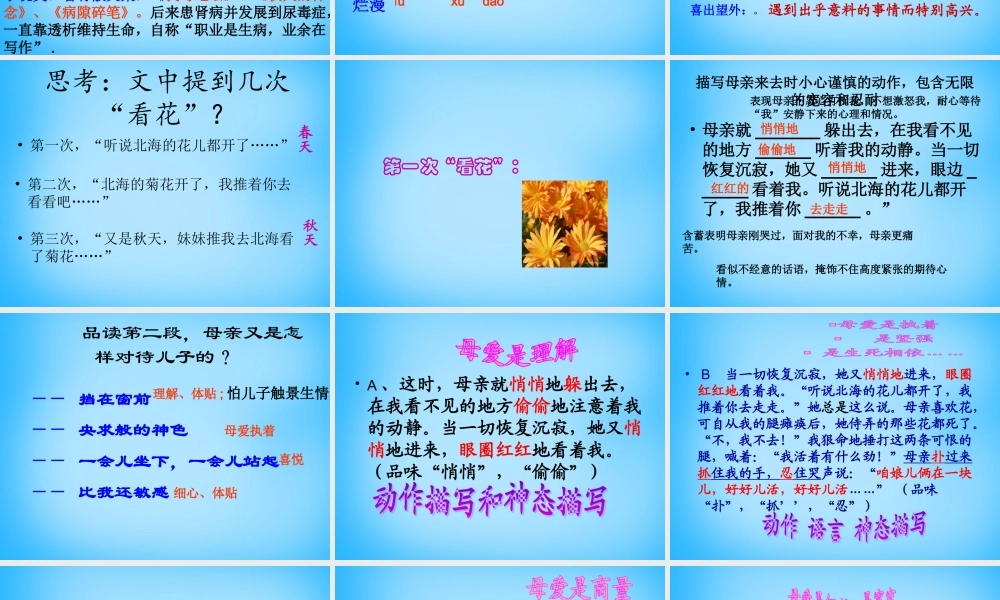 中学七年级语文上册(第2课 秋天的怀念)课件2 (新版)新人教版 课件