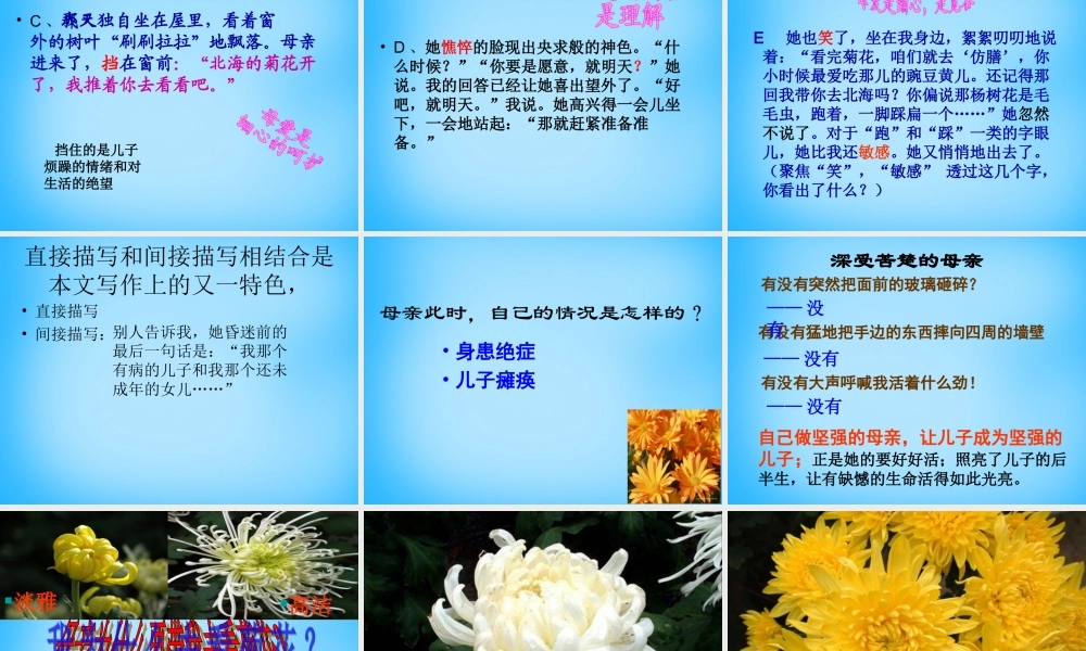 中学七年级语文上册(第2课 秋天的怀念)课件2 (新版)新人教版 课件