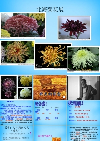 中学七年级语文上册(第2课 秋天的怀念)课件2 (新版)新人教版 课件